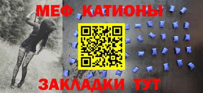 индика Камышлов