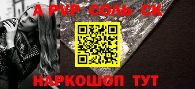 индика Камышлов