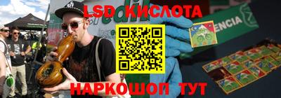 индика Камышлов