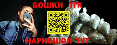 индика Камышлов