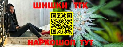 индика Камышлов