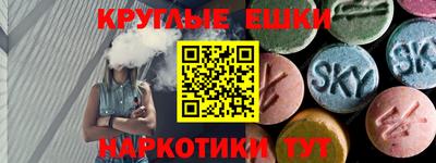 индика Камышлов