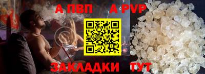 индика Камышлов