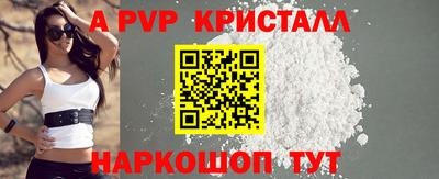индика Камышлов
