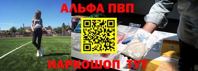 индика Камышлов