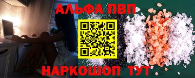 индика Камышлов