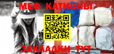 индика Камышлов