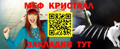 индика Камышлов