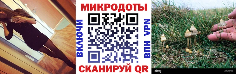 Псилоцибиновые грибы Magic Shrooms  цена наркотик  Чапаевск 