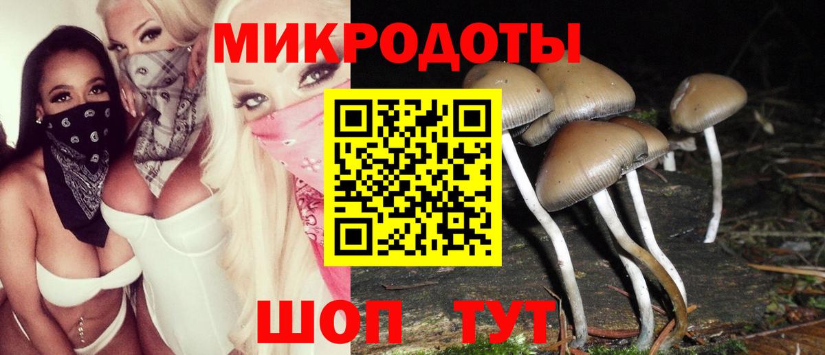 Чапаевск  Псилоцибиновые грибы Cubensis  Вход с VPN 